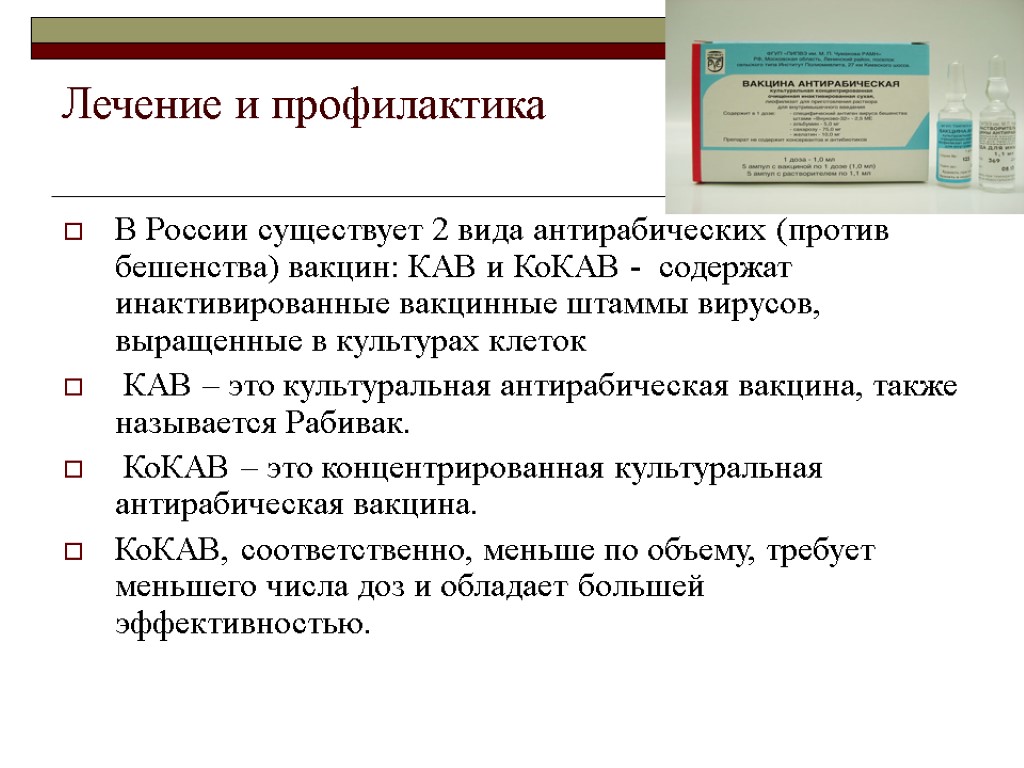 Лечение и профилактика В России существует 2 вида антирабических (против бешенства) вакцин: КАВ и
